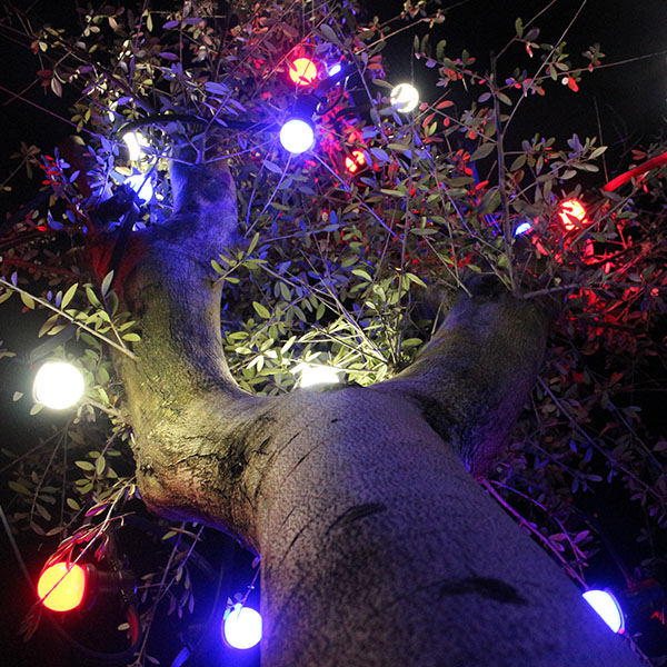 Edm - Guirlande lumineuse sphérique EDM - style guinguette - multicolore -  120 ampoules LED - 14 m - 71015 - Décorations de Noël - Rue du Commerce