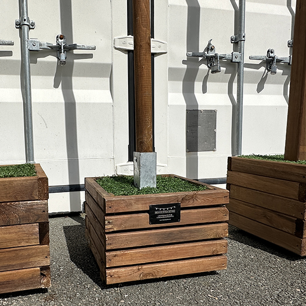 plot_250cm_mgg_147359525